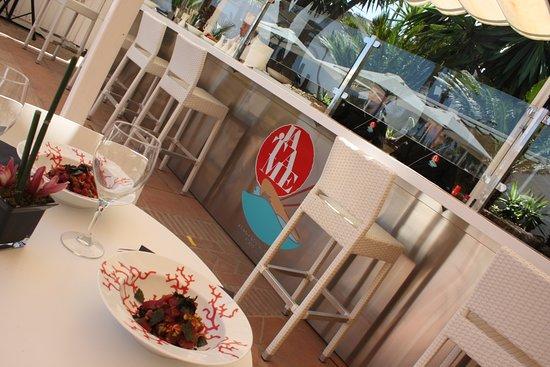 Jatame - Asian + Nostrum